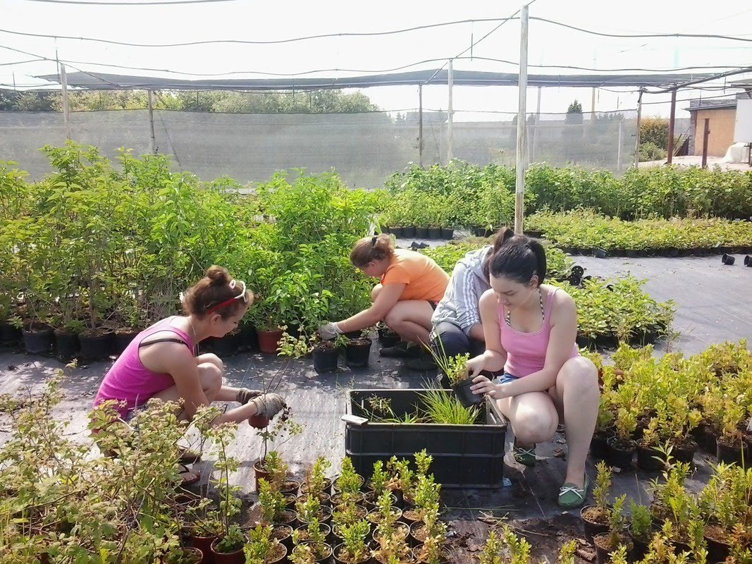 Профессиональное образование