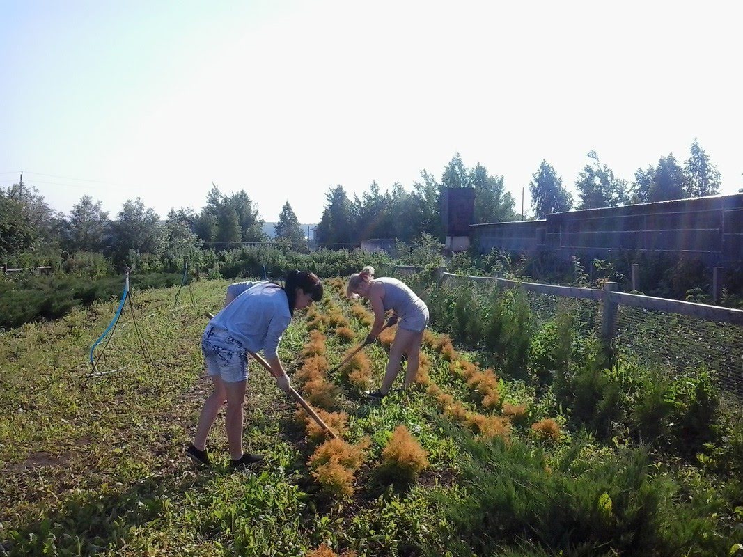 Профессиональное образование