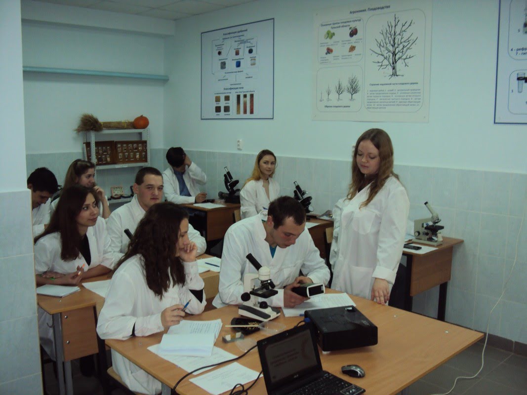 Профессиональное образование