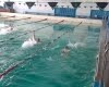 Спортивные успехи обучающихся ГПОУ ТО «Тульский техникум социальных технологий»