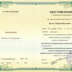 Чулков Андрей Николаевич