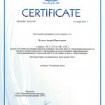 Чулков Андрей Николаевич