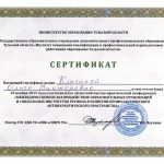 Клыгина Ольга Викторовна Клыгина Ольга Викторовна