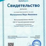 Малышкина Вера Ивановна Малышкина Вера Ивановна