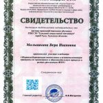 Малышкина Вера Ивановна Малышкина Вера Ивановна