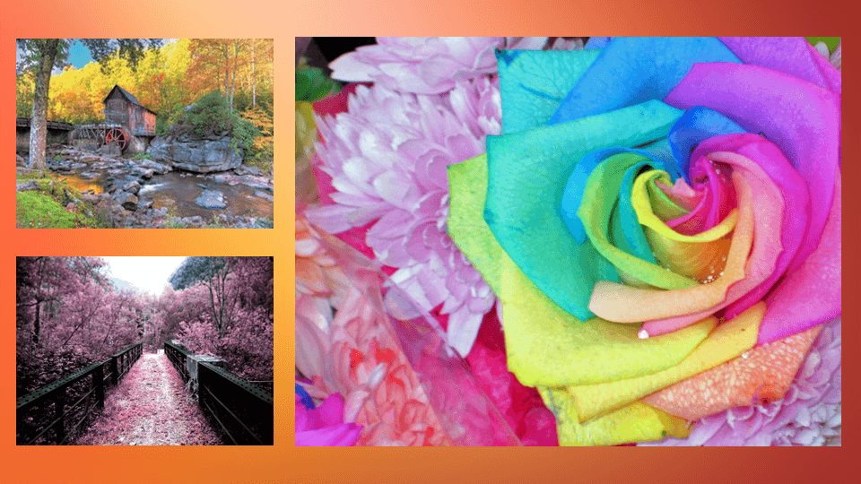 Региональная педагогическая мастерская “Технологии организации инклюзивного образовательного процесса”