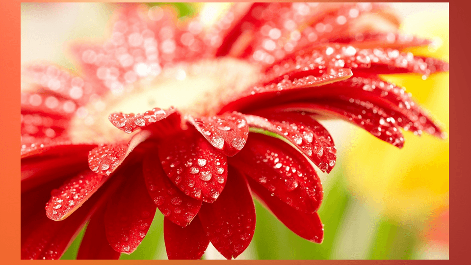 Региональная педагогическая мастерская “Технологии организации инклюзивного образовательного процесса”