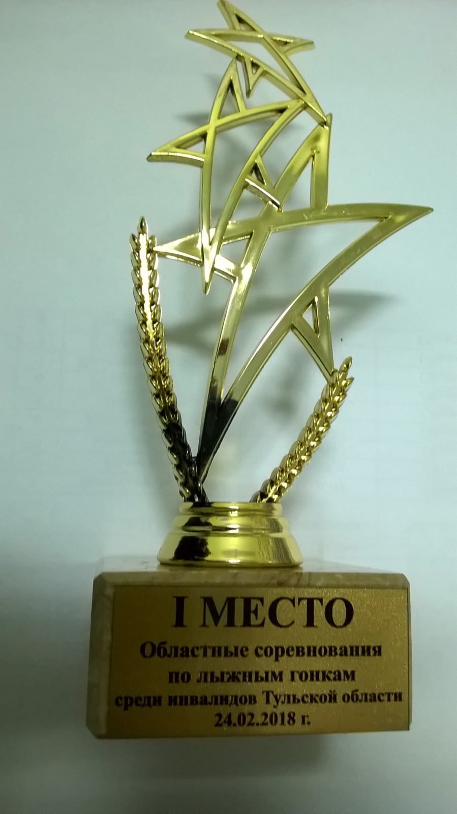Победа в лыжных гонках среди инвалидов Тульской области
