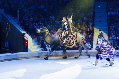 Легендарный цирк Юрия Никулина