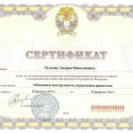 Чулков Андрей Николаевич