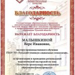 Малышкина Вера Ивановна Малышкина Вера Ивановна