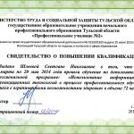 Шлеева Светлана Николаевна Шлеева Светлана Николаевна