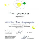 Сачкова Елена Владимировна Сачкова Елена Владимировна