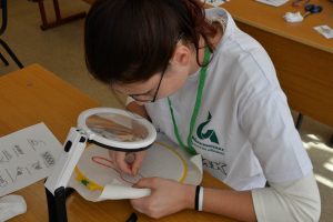 Работа на площадках III Регионального чемпионата Тульской области «Абилимпикс» Работа на площадках III Регионального чемпионата Тульской области «Абилимпикс»