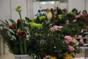 Торжественная церемония открытия V Национального чемпионата «Абилимпикс» Торжественная церемония открытия V Национального чемпионата «Абилимпикс»