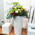 3 место в компетенции Флористика 3 место в компетенции Флористика