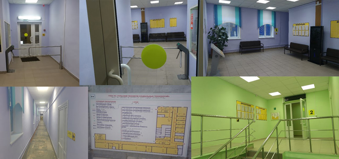 Сведения об образовательной организации