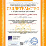 Амелина Наталья Владимировна Амелина Наталья Владимировна