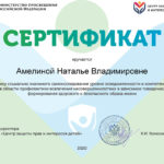 Амелина Наталья Владимировна Амелина Наталья Владимировна