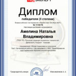 Амелина Наталья Владимировна Амелина Наталья Владимировна