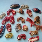 Представляем выставку художественных работ с новогодней тематикой Мартынова Кирилла