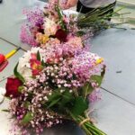 Компетенция Флористика Компетенция Флористика