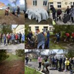 Участие в Общеобластном субботнике Участие в Общеобластном субботнике