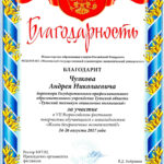 Чулков Андрей Николаевич