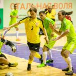 Стальная воля Стальная воля