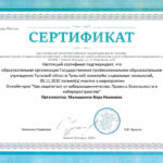 Малышкина Вера Ивановна Малышкина Вера Ивановна