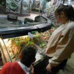 Загадочный мир зверей