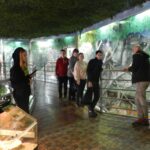 Загадочный мир зверей