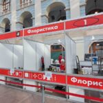 Тульская область в финале Национального чемпионата «Абилимпикс» Тульская область в финале Национального чемпионата «Абилимпикс»