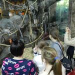 Загадочный мир зверей