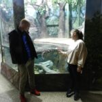 Загадочный мир зверей