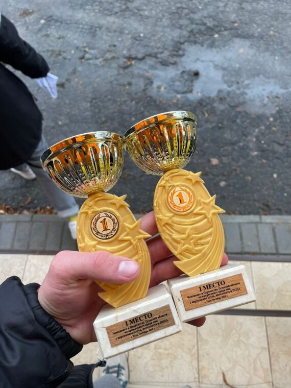 Спортивные достижения