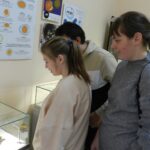 Загадочный мир зверей