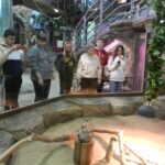 Загадочный мир зверей