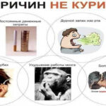 Фролова Юлия Павловна