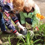 Челендж «Зеленые истории» Челендж «Зеленые истории»