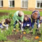 Челендж «Зеленые истории» Челендж «Зеленые истории»