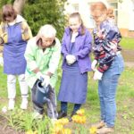 Челендж «Зеленые истории» Челендж «Зеленые истории»