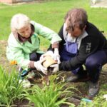 Челендж «Зеленые истории» Челендж «Зеленые истории»