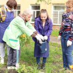 Челендж «Зеленые истории» Челендж «Зеленые истории»