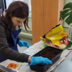 Челендж «Зеленые истории» Челендж «Зеленые истории»