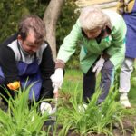 Челендж «Зеленые истории» Челендж «Зеленые истории»