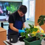 Челендж «Зеленые истории» Челендж «Зеленые истории»