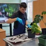 Челендж «Зеленые истории» Челендж «Зеленые истории»