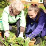 Челендж «Зеленые истории» Челендж «Зеленые истории»