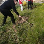 Общеобластной субботник